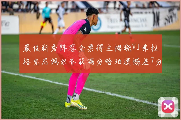 最佳新秀阵容全票得主揭晓VJ弗拉格克尼佩尔齐获满分哈珀遗憾差7分